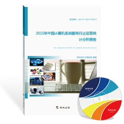 2015年中國計算機系統服務行業運營統計分析報告