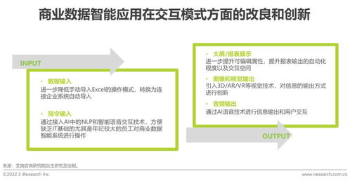 2022年中國商業數據智能行業研究 標準化服務的崛起與挑戰